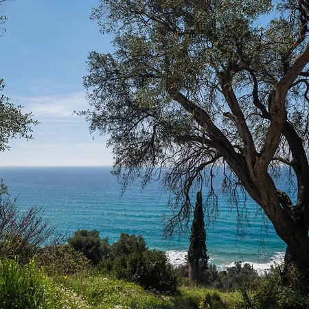 Villa Rustica Agios Gordios  Exterior photo
